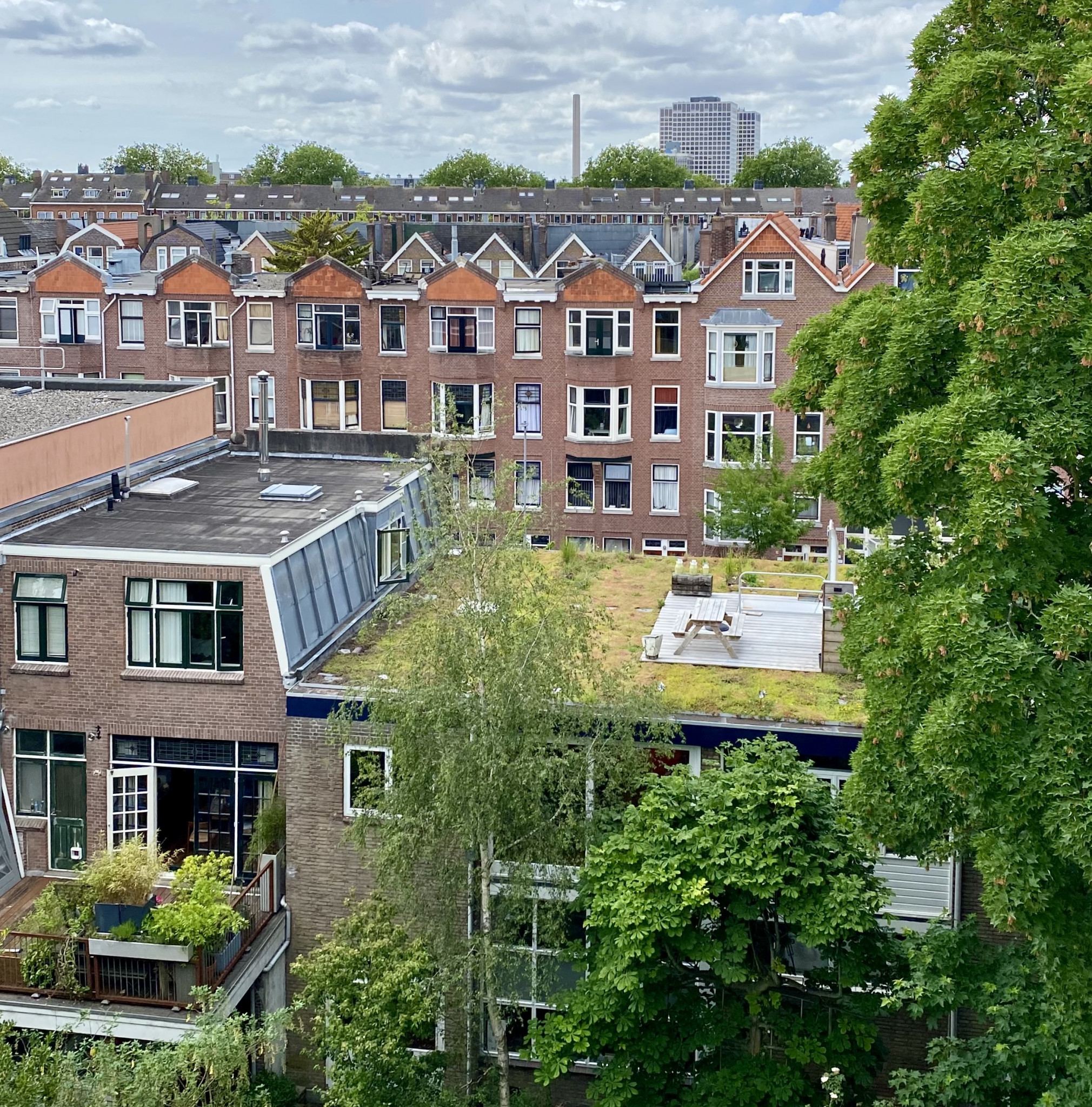 De Ontwerpwerkplaats, Gijs Niemeijer, Floor van Ditzhuyzen, Daktuin Rotterdam, ontwerp groen dak, ontwerp dakterras, biodivers dak, ontwerp daktuin, , 